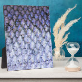 Lachs Fotoplatte (Seite)