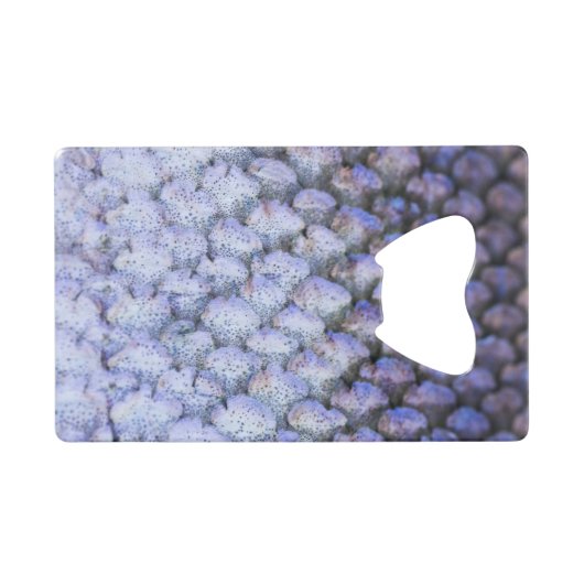 Lachs Geldkarten Flaschenöffner (Vorderseite (Horizontal))