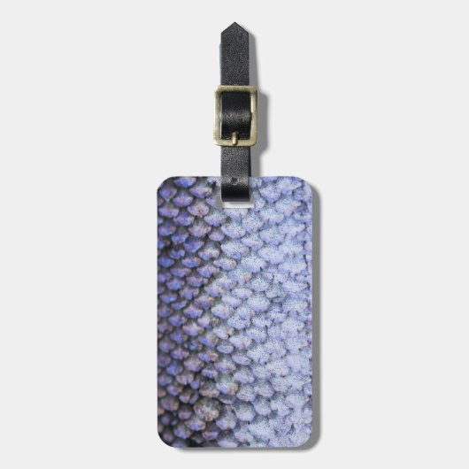 Lachs Gepäckanhänger (Vorderseite vertikal)