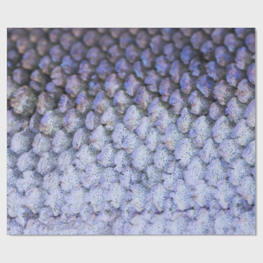 Lachs Geschenkpapier (Flach)