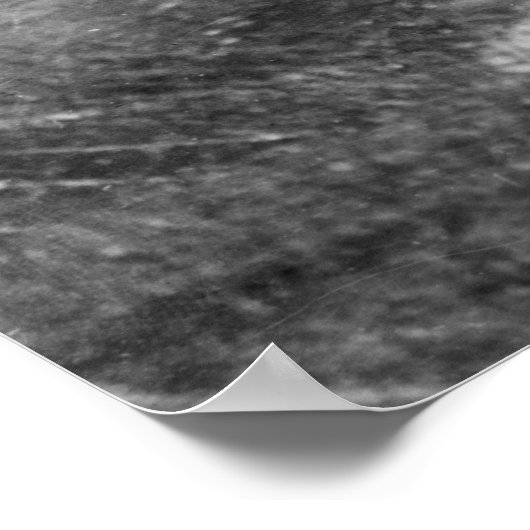 Lachs in Astoria, oder Fotografie Poster (Ecke)