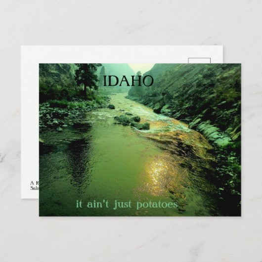Lachs in Idaho Postkarte (Vorne/Hinten)