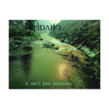 Lachs in Idaho