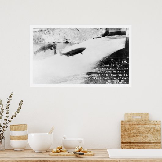 Lachs Jumping Alaska 1907 Poster (Küche)