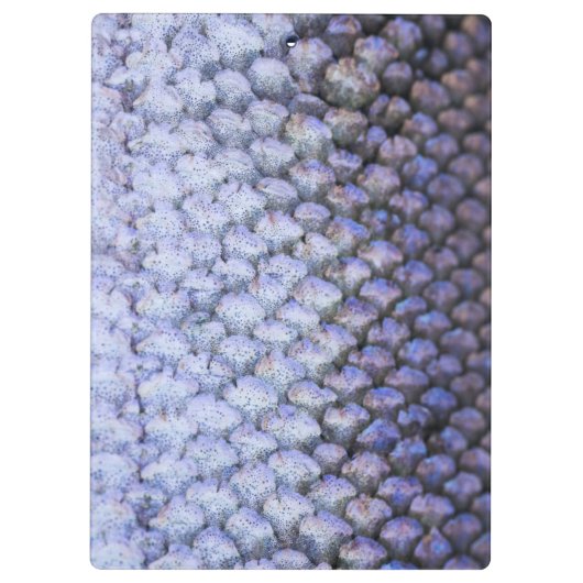 Lachs Klemmbrett (Rückseite)