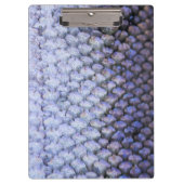 Lachs Klemmbrett (Vorderseite)