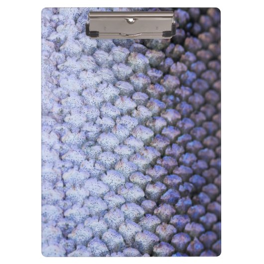 Lachs Klemmbrett (Vorderseite)