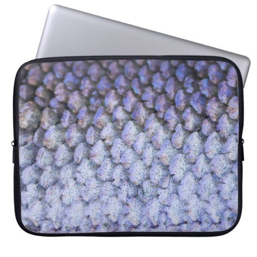 Lachs Laptopschutzhülle (Vorderseite)