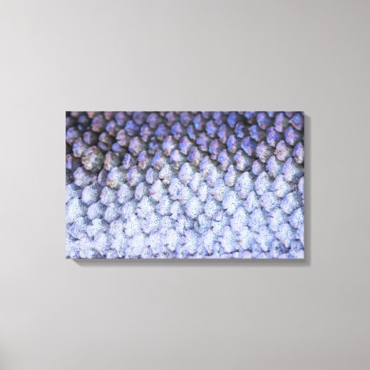 Lachs Leinwanddruck (Vorderseite)