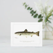 Lachs oder Quaniche, von Frauen eingeschlossen Postkarte (Stehend Vorderseite)