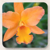 Lachs Orchid Untersetzer (Vorderseite)