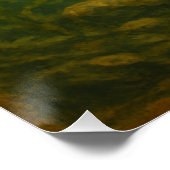 Lachs Poster (Ecke)