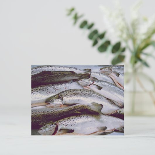 Lachs Postkarte (Stehend Vorderseite)