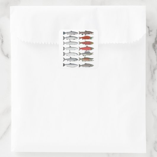 Lachs Quadratischer Aufkleber (Tasche)