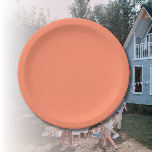 Lachs Rosa Farbe   Trendfarbe Pappteller