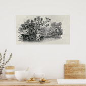 Lachs spielen poster (Küche)