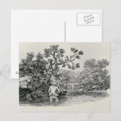 Lachs spielen postkarte (Vorne/Hinten)
