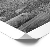 Lachs trinken in Alaska 1915 Poster (Ecke)