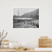 Lachs trinken in Alaska 1915 Poster (Küche)