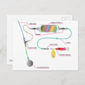 Lachs- und Salzwasser-Schleppanlage mit Blitzgerät Postkarte (Vorne/Hinten)