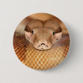 Lachsboa-Knopf Button (Vorderseite)