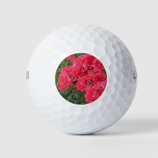 lachsfarbene Rose Golfball (Vorderseite)