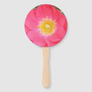 lachsfarbene Rose mit gelbem Zentrum auf einem Ven Fächer