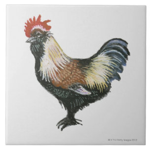 LachsFaverolles Huhn Fliese