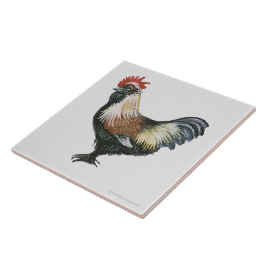 LachsFaverolles Huhn Fliese (Seite)