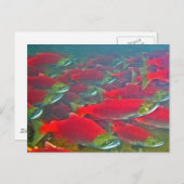 Lachskletterpiste Postkarte (Vorne/Hinten)