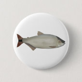 Lachssalmler Button (Vorderseite)