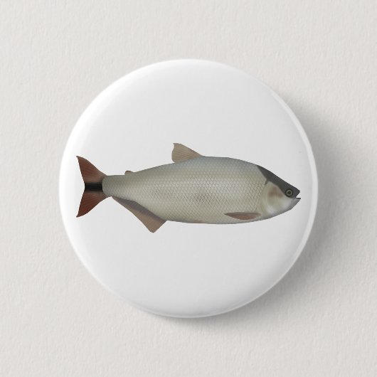 Lachssalmler Button (Vorderseite)