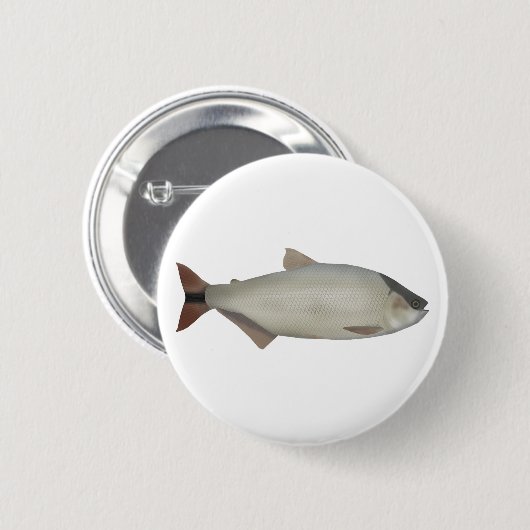 Lachssalmler Button (Vorne & Hinten)