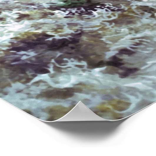 Lachsschwimmbecken Poster (Ecke)