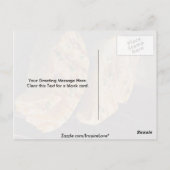 Lachssteaks auf Grill Postkarte (Rückseite)