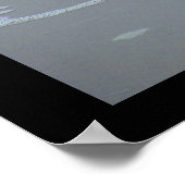 LACHTGOLLE POSING POSTER (Ecke)