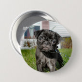 LACK MOPS PUPPY BUTTON (Vorne & Hinten)