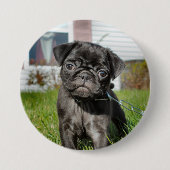 LACK MOPS PUPPY BUTTON (Vorderseite)