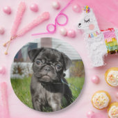 LACK MOPS PUPPY PAPPTELLER (Party)