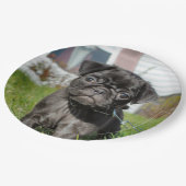 LACK MOPS PUPPY PAPPTELLER (Schrägansicht)