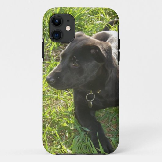 Lack-schwarzer Schäferhund Case-Mate iPhone Hülle (Rückseite)