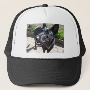 Lack-schwarzer Schäferhund Truckerkappe