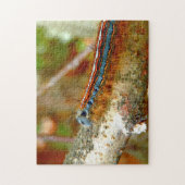 Lackey Moth Raupe Foto Puzzle mit Geschenkboxen (Vertikal)