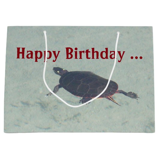 Lackierte Schildkrötengeschenktasche Große Geschenktüte (Vorderseite)