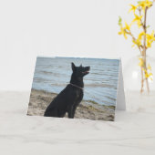 Lacquer Black German Shepherd Karte (Gelbe Blume)