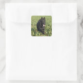 Lacquer Black German Shepherd Quadratischer Aufkleber (Tasche)