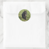 Lacquer Black German Shepherd Runder Aufkleber (Tasche)