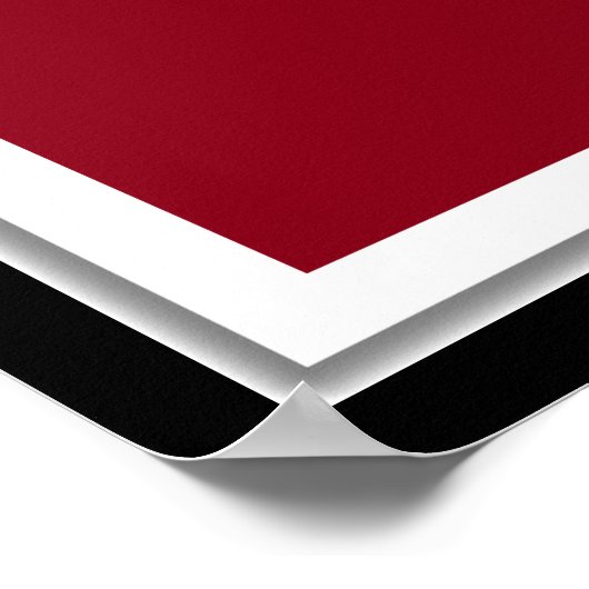 Lacrosse Goalie Poster (Ecke)