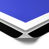 Lacrosse Goalie Poster (Ecke)