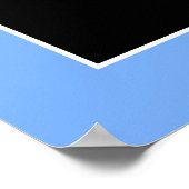 Lacrosse Goalie Poster (Ecke)